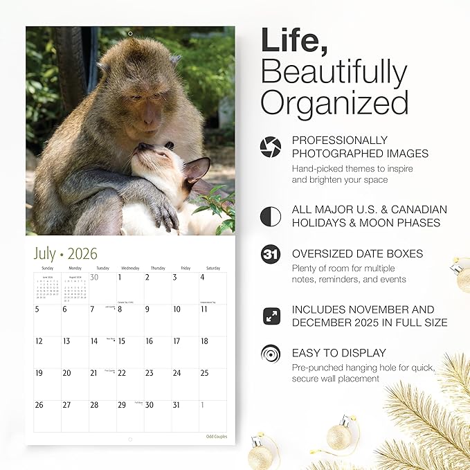 RED EMBER Odd Couples 2026 Wall Calendar 12 Month | 12” x 24” Open | Thick & Sturdy Paper | Giftable | Funny Unlikely Animal Friendships Calendar 2026