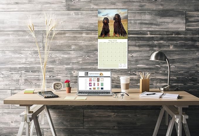 Gordon Setter Calendar 2026 by MegaCalendars – Monthly Dog Breed Wall Calendar, Made in USA