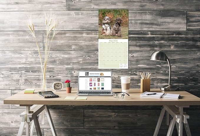 Cockapoo Calendar 2026 by MegaCalendars – Monthly Dog Breed Wall Calendar, Made in USA