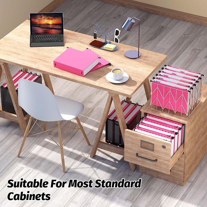 Shutex Extra Capacity Plastic Hanging File Folders,12 Pack Reinforced Hang Folders,Heavy Duty 2 Inch Expansion,Plastic Filing Cabinet Folders,Letter Size,Designed for Bulk Files, Medical Charts,Pink