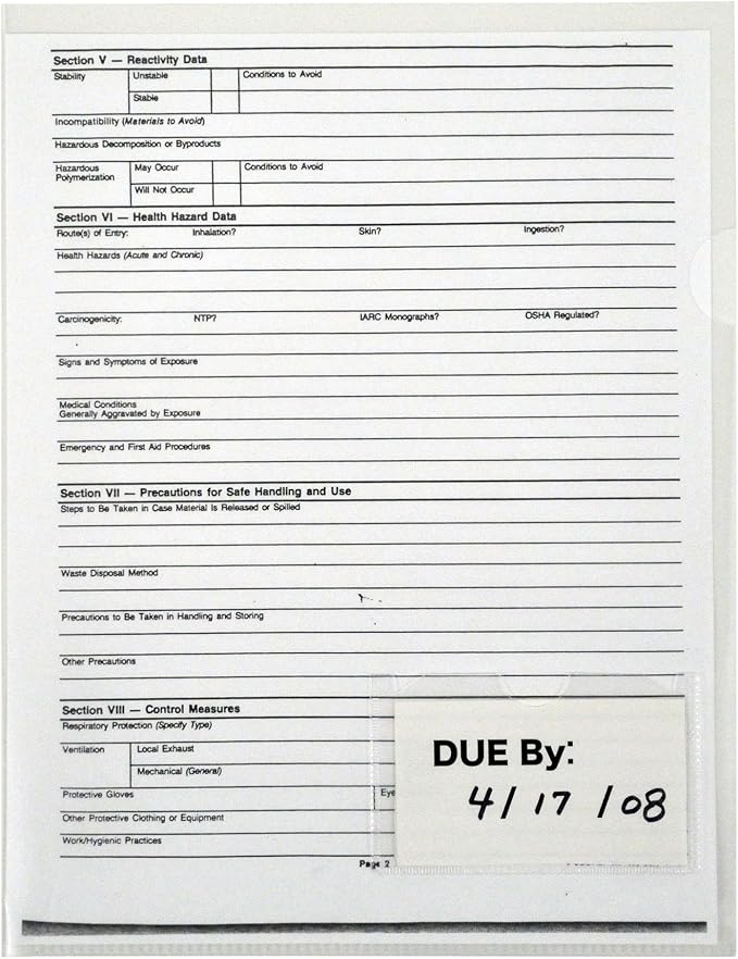 Lion Clear Project Folders with Index Pocket, 10 EA/Pack, 1 Pack (49120-CR)
