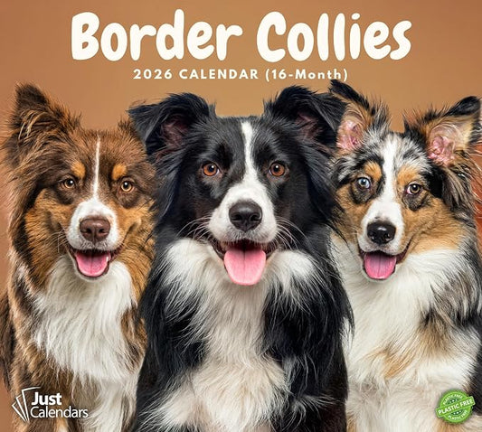 2026 Border Collies Dog Deluxe Wall Calendar | 16-Month Monthly Planner | Eco-Friendly Plastic-Free Organizer | Large 12" x 13.3" Home & Office Calendar with Holidays & Cute Border Collie Photos