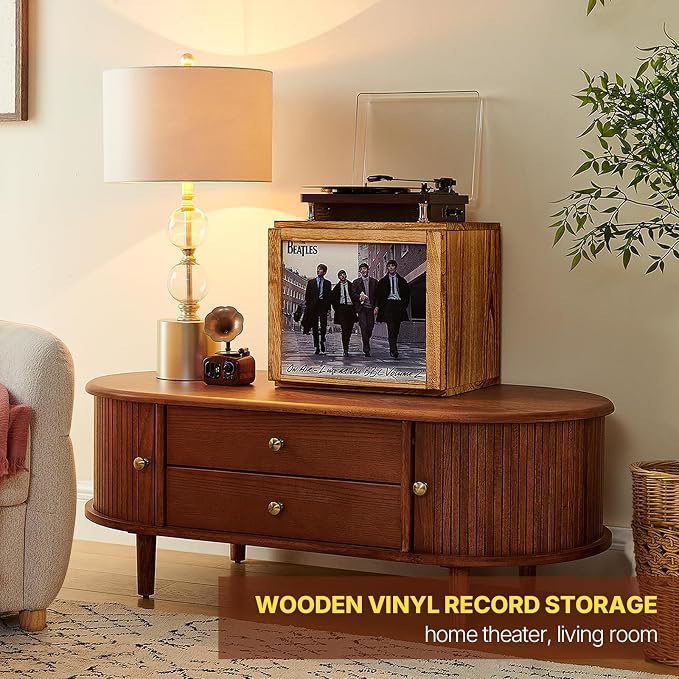 DGWJSU Vinyl Record Storage, Record Storage Box Holds 120 Records, Wooden Vinyl Holder Display Window(7″/10″/12″), Vinyl Storage For Music Corners, Display Collections, Home Theaters, Living Rooms