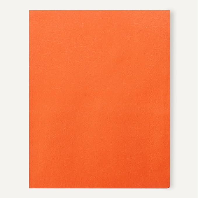 Amazon Basics Two-Pocket File Folders, Letter Size, Assorted Colors, 25-Pack
