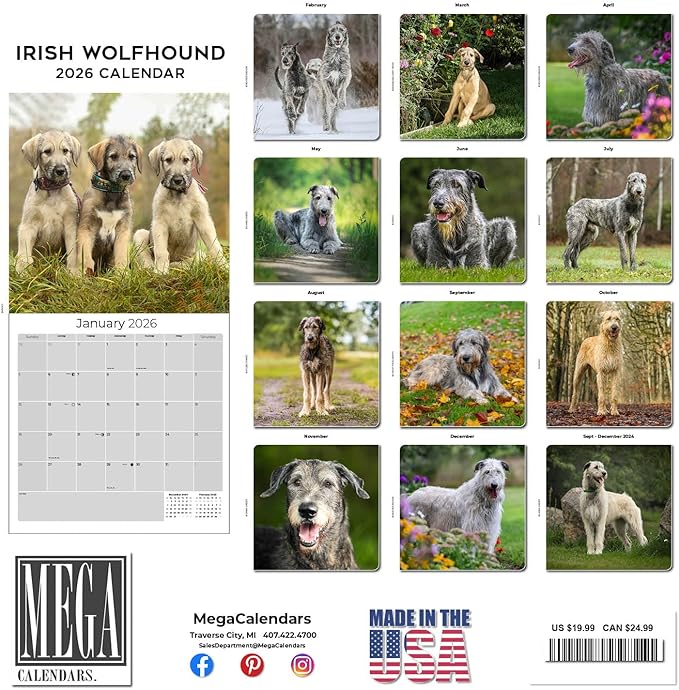 Irish Wolfhound Calendar 2026 by MegaCalendars – Monthly Dog Breed Wall Calendar, Made in USA