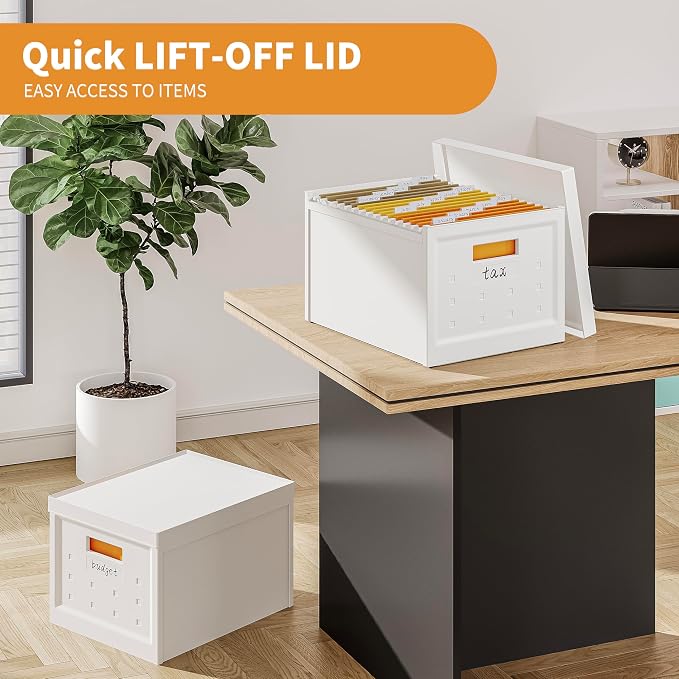 Seseno File Organizer File Box with Lid, Universal Hanging File Organizer, Letter/Legal Size File Folder Box, 2 Pack Plastic Office Document Filing Storage Bin