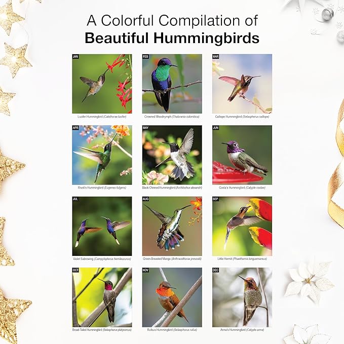 RED EMBER Hummingbirds 2026 Wall Calendar 12 Month | 12" x 24" Open | Thick & Sturdy Paper | Giftable | Bird Calendar 2026