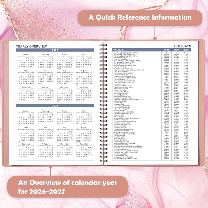 2026 Appointment Book/Planner - Appointment Planner 2026, Jan. 2026 - Dec. 2026, 11" x 9", 26 Daily Hourly Planner with 15-Minute Interval, Colorful Tabs - Rose Gold