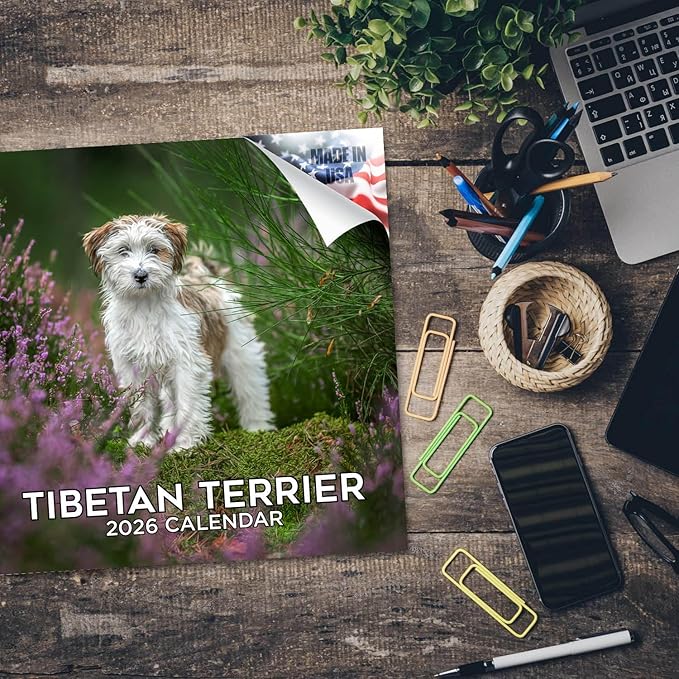 Tibetan Terrier Calendar 2026 by MegaCalendars – Monthly Dog Breed Wall Calendar, Made in USA