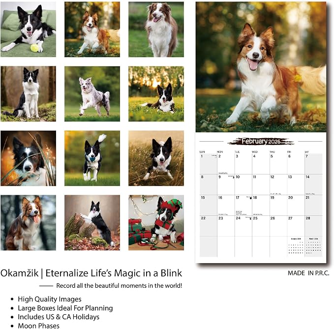 2026 Wall Calendar Border Collie Planner Calendar, Hangable Monthly Wall Calendar with Large Blocks for Organizing & Planning, Academic Schedule, Home, Office & family, Thick & Sturdy Paper (12"x24" Open)