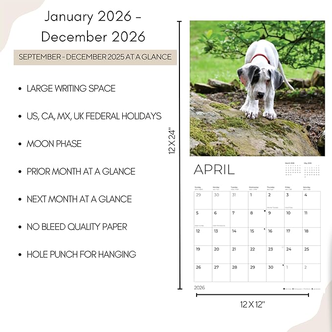 Great Dane Puppy 2026 Wall Calendar | 12" x 24" Open | Dog Photography Thick & Sturdy Paper for Organizing & Planning | Office Kitchen Decor or Gift | Pacific Waters Press (Great Dane Puppies)