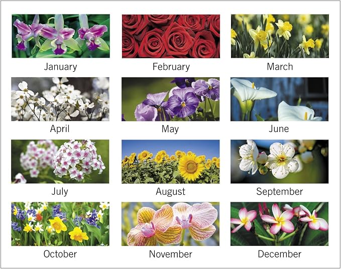 AT-A-GLANCE Monthly Desk Pad Calendar, January 2018 - December 2018, 22" x 17", Panoramic, Floral (89805)