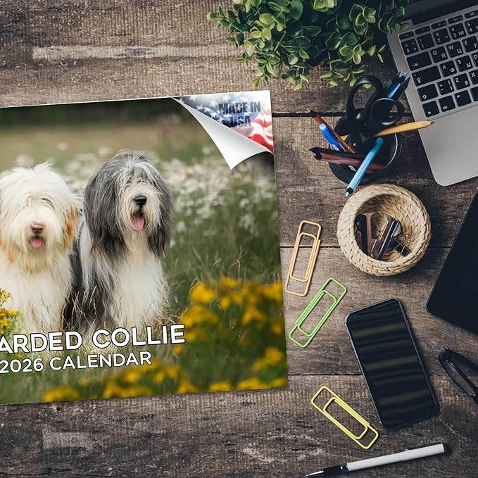 2025 2026 Bearded Collie Calendar - Dog Breed Monthly Wall Calendar - 12" x 18" Open - Thick No-Bleed Paper - Giftable - Academic Teacher's Planner Calendar Organizing & Planning - Made in USA