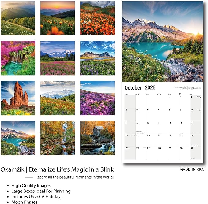 Wall Calendar 2026 Planner Calendar - Brilliant Seasons Hangable Monthly Wall Calendar with Large Blocks for Organizing & Planning, Academic Schedule, Home, Office & family, Thick & Sturdy Paper (12"x24" Open)