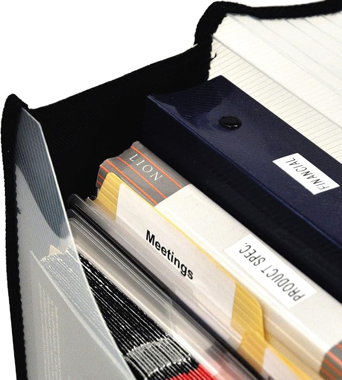 Lion Expand-N-File Poly Expanding Wallet, Legal, 16" x 10" x 0.5" (Max. Capacity 3"), Clear, 1ea. (48170-CR)