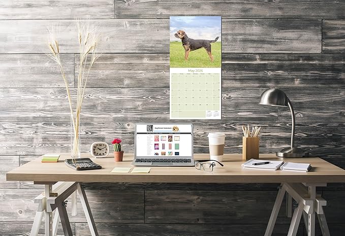 Border Terrier Calendar 2026 by MegaCalendars – Monthly Dog Breed Wall Calendar, Made in USA