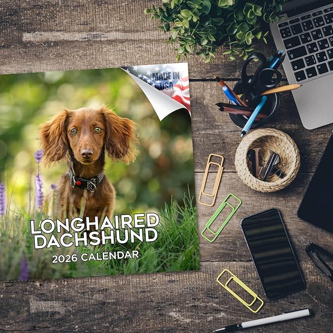 Longhaired Dachshund Calendar 2026 – 16-Month Dog Breed Wall Calendar by MegaCalendars – Large Daily Blocks, Thick No-Bleed Paper, Made in USA