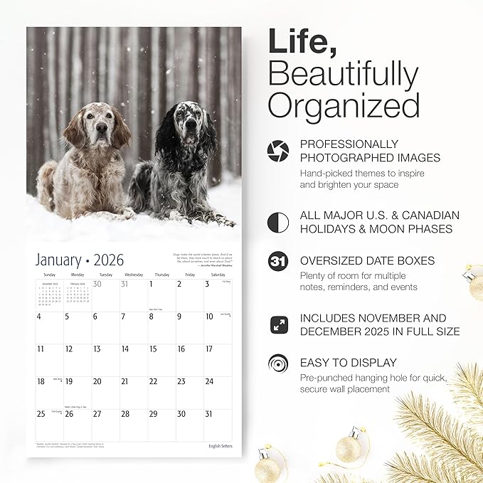 RED EMBER English Setters 2026 Wall Calendar 12 Month | 12" x 24" Open | Thick & Sturdy Paper |Giftable | Cute Puppy Dog Calendar 2026