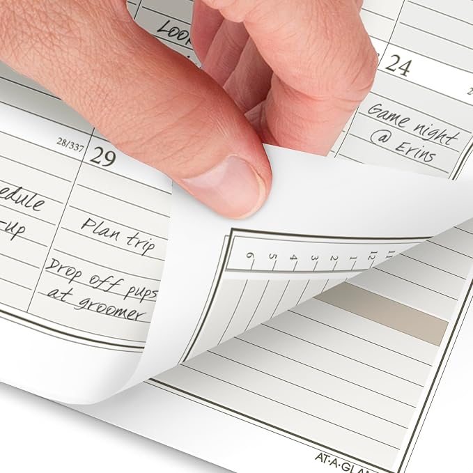 AT-A-GLANCE 2026 Planner Refill, Weekly & Monthly, 3.75" x 6.75", Portable Size 3, Loose-Leaf (471-285Y-26)
