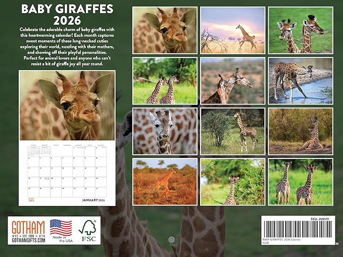 Baby Giraffe Calendar 2026 Monthly Wall Calender 12 Month | American Made In The USA