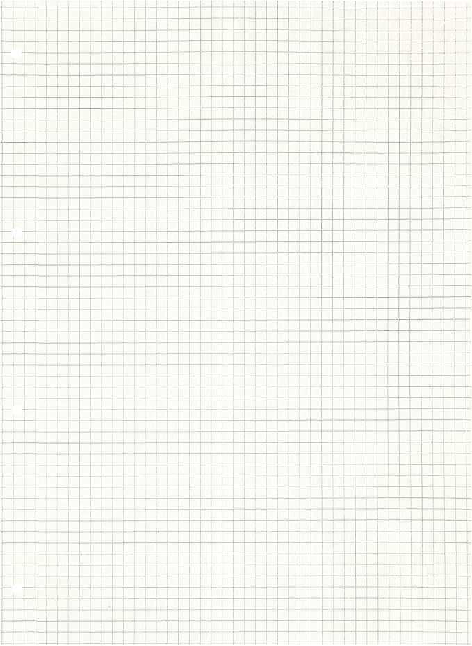 Zelten 2 Pack A4 90 Sheets/180 Pages Squared Loose Leaf Punched Paper Refills Paper for 4 Hole Binder Personal Organizer Diary Notebook Refillable Planner