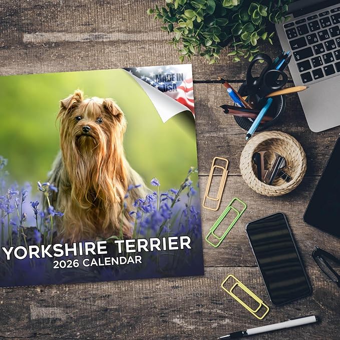 Yorkshire Terrier Calendar 2026 by MegaCalendars – Monthly Dog Breed Wall Calendar, Made in USA