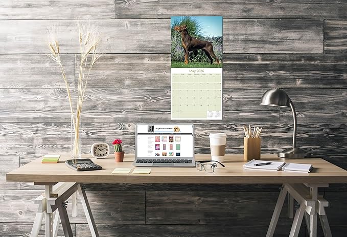 Doberman Calendar 2026 – 16-Month Dog Breed Wall Calendar by MegaCalendars – Large Daily Blocks, Thick No-Bleed Paper, Made in USA