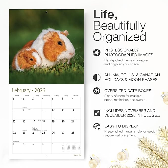 RED EMBER Select - Guinea Pigs 2026 Wall Calendar 12 Month | 12” x 24” Open | Thick & Sturdy Paper | Giftable | Cute Funny Animal Kids Calendar 2026