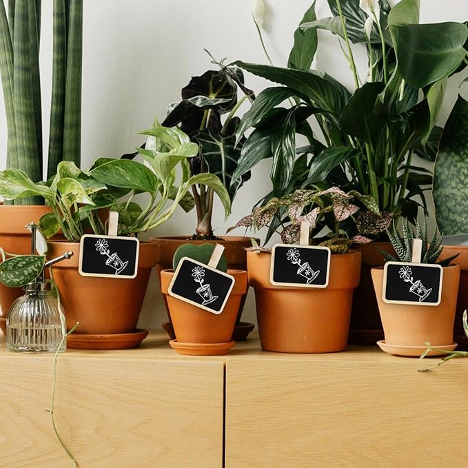 SEWACC 20pcs Mini Chalkboard Signs with Clips Reusable Food Labels for Party Buffet Photo Clips for Tabletop Display Easy to Write and Wipe Off for Events and Catering