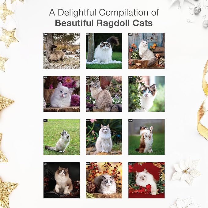 RED EMBER Ragdoll Cats 2026 Wall Calendar 12 Month | 12" x 24" Open | Thick & Sturdy Paper | Giftable | Cute Kitten Cat Calendar 2026