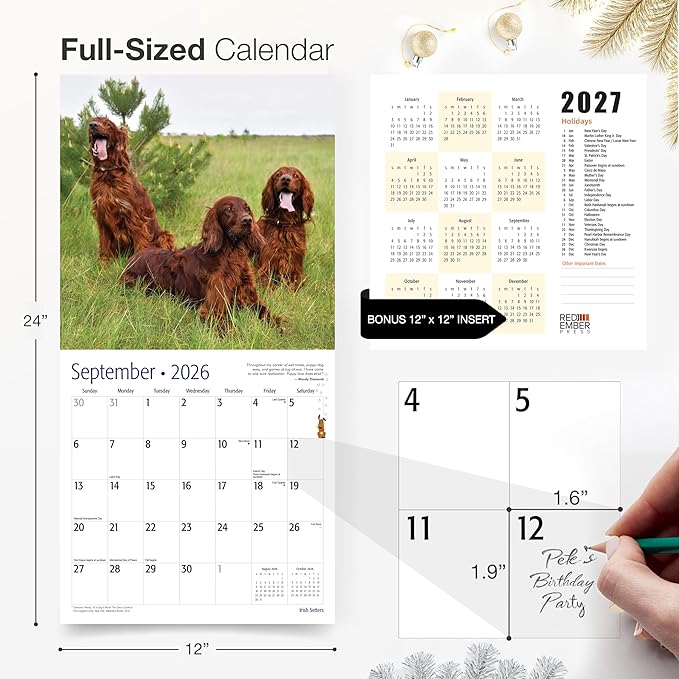RED EMBER Irish Setters 2026 Wall Calendar 12 Month | 12" x 24" Open | Thick & Sturdy Paper | Giftable | Cute Puppy Dog Calendar 2026