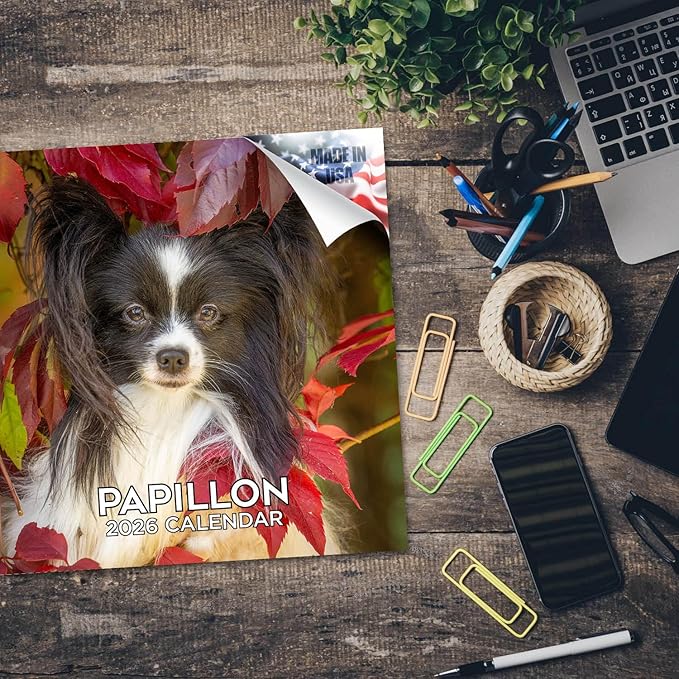 Papillon Calendar 2026 by MegaCalendars – Monthly Dog Breed Wall Calendar, Made in USA