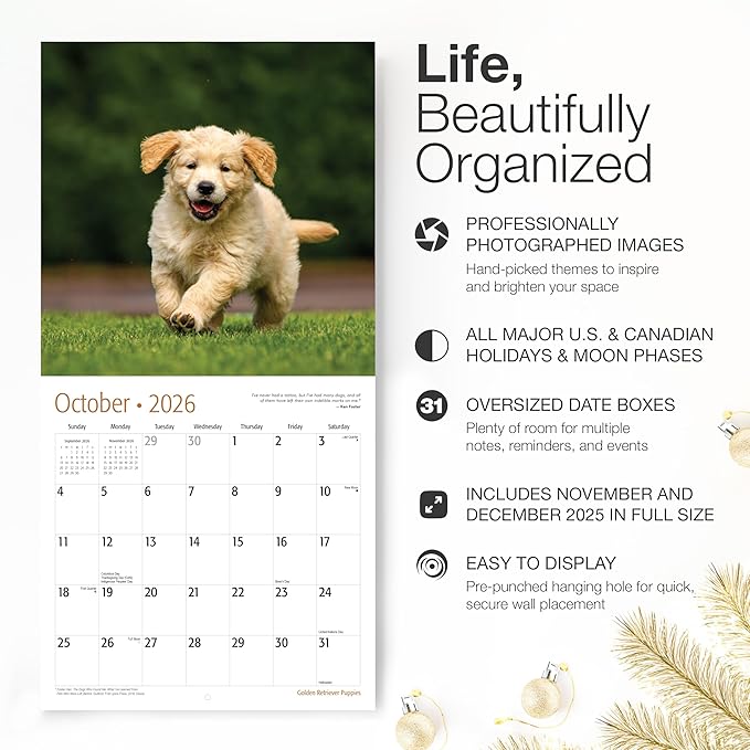 RED EMBER Select - Golden Retriever Puppies 2026 Wall Calendar 12 Month | 12" x 24" Open | Thick & Sturdy Paper | Giftable | Cute Puppy Dog Calendar 2026