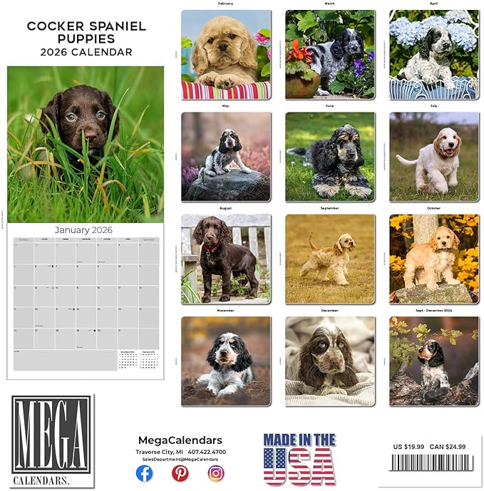 Cocker Spaniel Pups Calendar 2026 by MegaCalendars – Monthly Dog Breed Wall Calendar, Made in USA