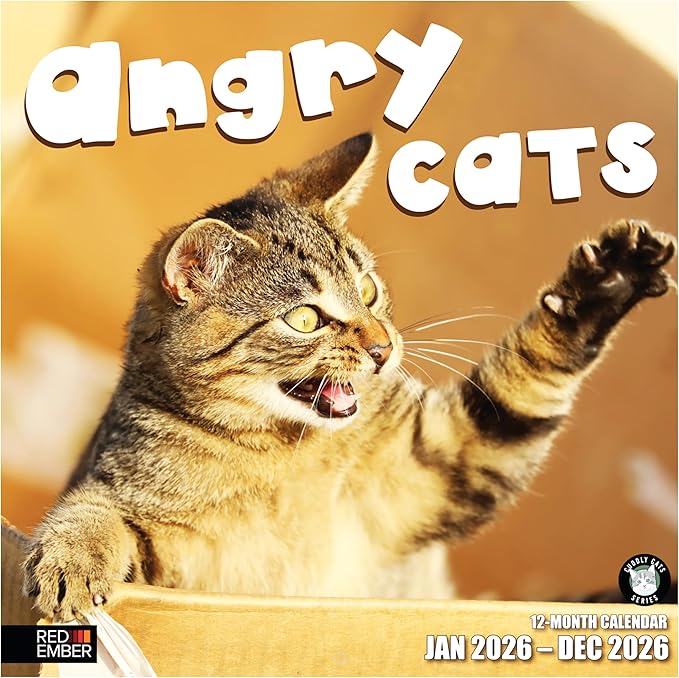 RED EMBER Angry Cats 2026 Wall Calendar 12 Month | 12" x 24" Open | Thick & Sturdy Paper | Giftable | Funny Kitten Cat Calendar 2026
