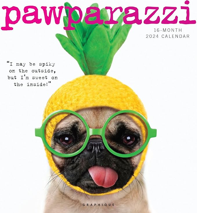 Graphique 2024 Pawparazzi Mini Wall Calendar | 7” x 7” | Thick Paper | Home & Office Organizer | Large Monthly Grid | 3 Languages & Marked Holidays | 4 Month Preview Page for 2025