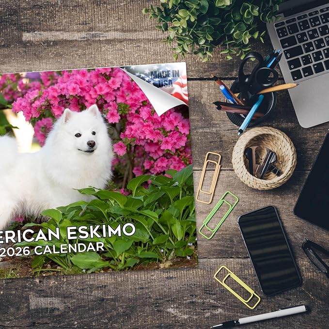 2025 2026 American Eskimo Calendar - Dog Breed Monthly Wall Calendar - 12" x 18" Open - Thick No-Bleed Paper - Giftable - Academic Teacher's Planner Calendar Organizing & Planning - Made in USA