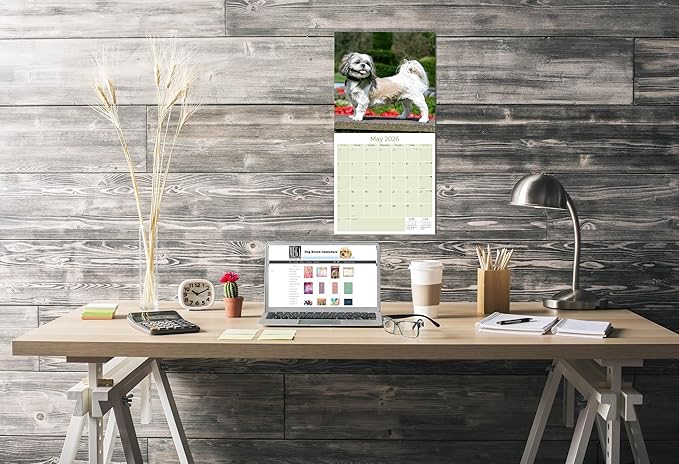 Shih Tzu Calendar 2026 by MegaCalendars – Monthly Dog Breed Wall Calendar, Made in USA