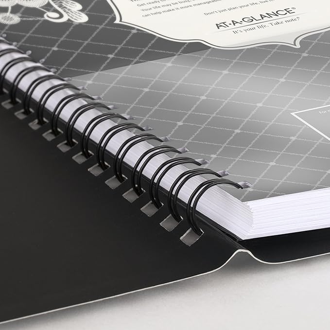 AT-A-GLANCE 2027 Appointment Book Planner, Weekly & Monthly, 13-Month Jan-Jan, 8.5" x 11", Hourly, Lacey (541-905-27)
