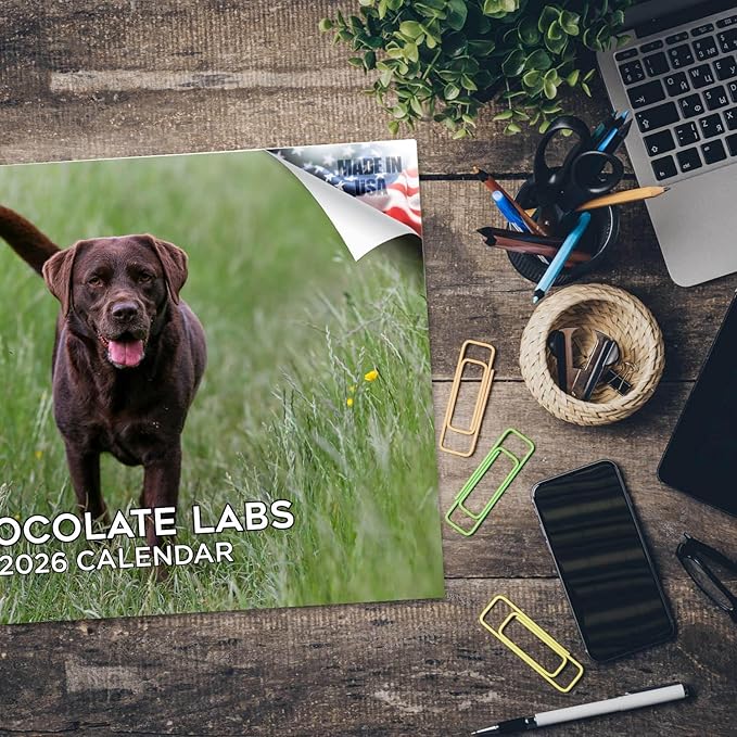 2025 2026 Labrador Chocolate Calendar - Dog Breed Monthly Wall Calendar - 12" x 18" Open - Thick No-Bleed Paper - Giftable - Academic Teacher's Planner Calendar Organizing & Planning - Made in USA