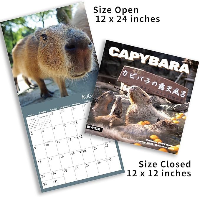 2026 Wall Calendar,Capybara Calendar 2026, Monthly Wall Calendar, 12" x 24" Open,Family Planner Calendar Organizer with funny capybara Images