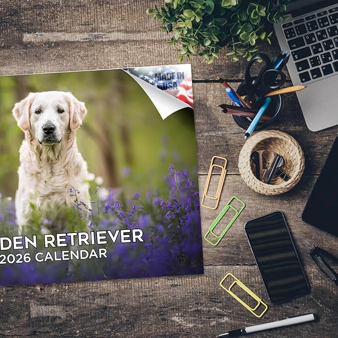2025 2026 Golden Retriever Calendar - Dog Breed Monthly Wall Calendar - 12" x 18" Open - Thick No-Bleed Paper - Giftable - Academic Teacher's Planner Calendar Organizing & Planning - Made in USA