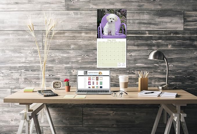 Bichon Frise Calendar 2026 by MegaCalendars – Monthly Dog Breed Wall Calendar, Made in USA
