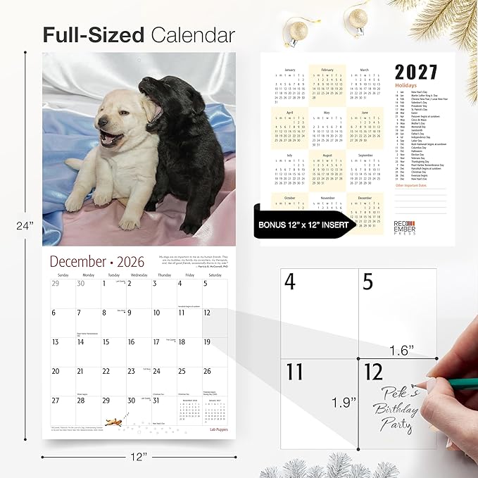 RED EMBER Select - Lab Puppies 2026 Wall Calendar 12 Month | 12" x 24" Open | Thick & Sturdy Paper | Giftable | Cute Labrador Retriever Puppy Dog Calendar 2026