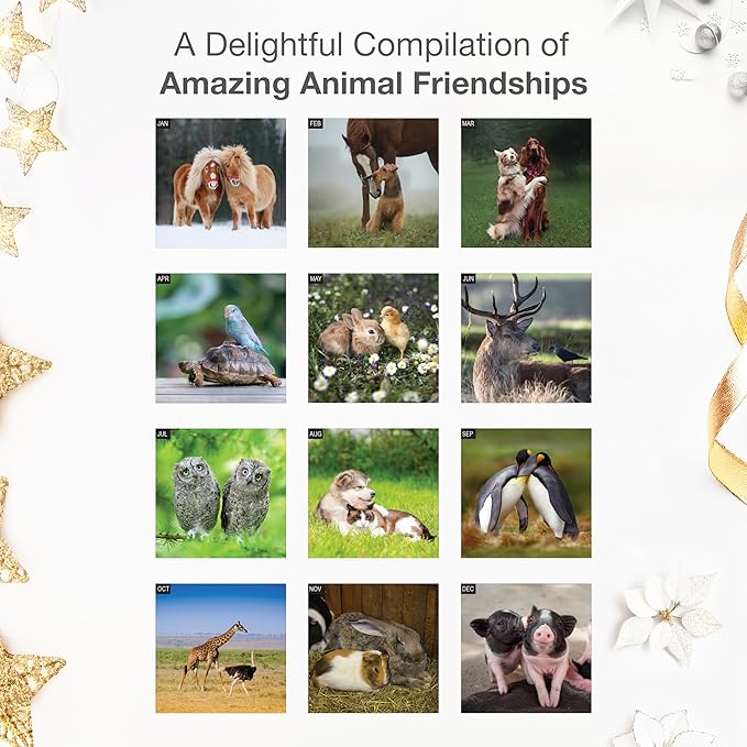 RED EMBER Friends Forever 2026 Wall Calendar 12 Month | 12” x 24” Open | Thick & Sturdy Paper | Holiday Gift | Animal Unlikely Friendships Calendar 2026