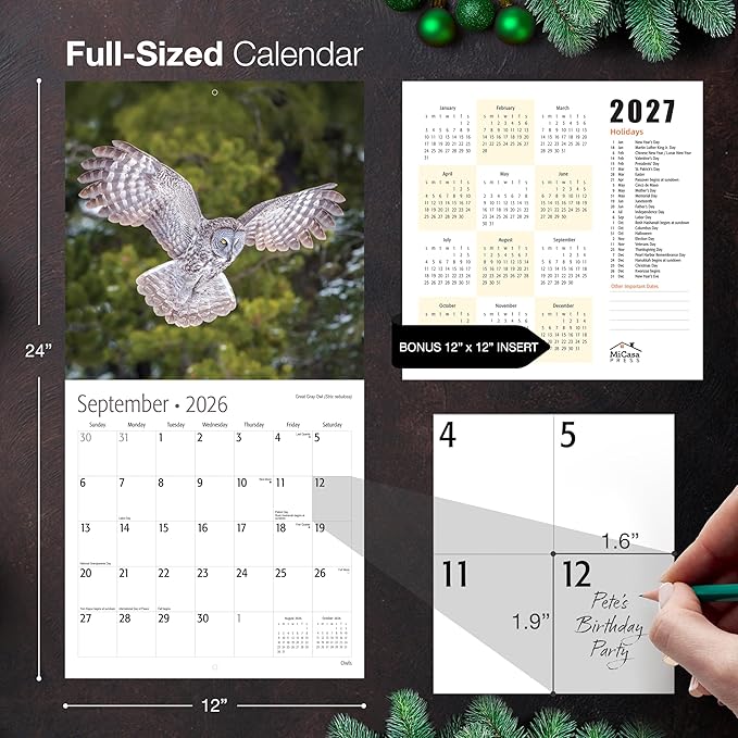 MICASA PRESS Owls 2026 Wall Calendar 12 Month | 12" x 24" Open | Thick & Sturdy Paper | Giftable | Birds of Prey Animal Calendar 2026