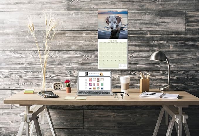 Beagle Calendar 2026 by MegaCalendars – Monthly Dog Breed Wall Calendar, Made in USA
