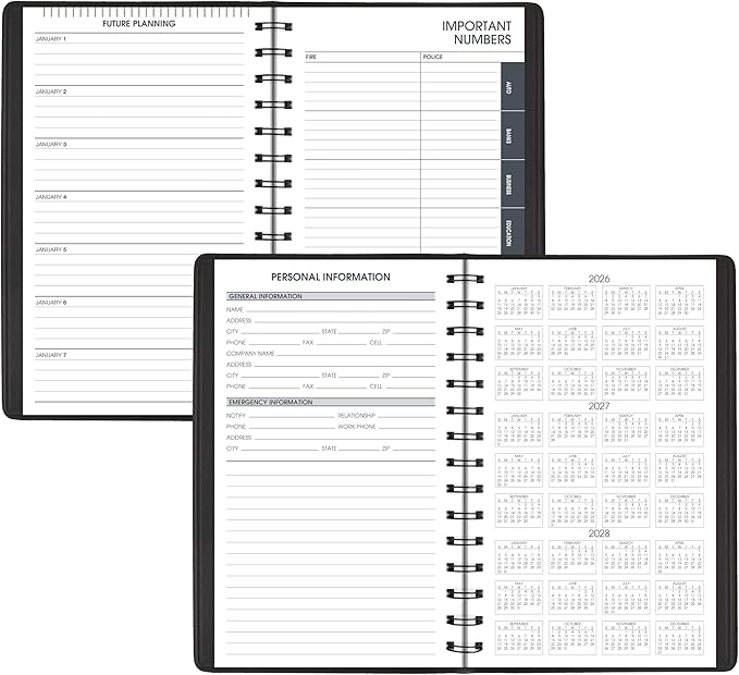 AT-A-GLANCE 2027 Appointment Book Planner, Daily, 5" x 8", Quarter-Hourly, DayMinder, Black (G1000027)
