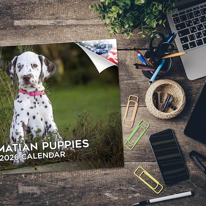 2025 2026 Dalmatian Pups Calendar - Dog Breed Monthly Wall Calendar - 12" x 18" Open - Thick No-Bleed Paper - Giftable - Academic Teacher's Planner Calendar Organizing & Planning - Made in USA