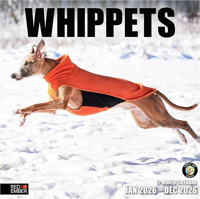 RED EMBER Whippets 2026 Wall Calendar 12 Month | 12" x 24" Open | Thick & Sturdy Paper | Giftable | Cute Puppy Dog Calendar 2026